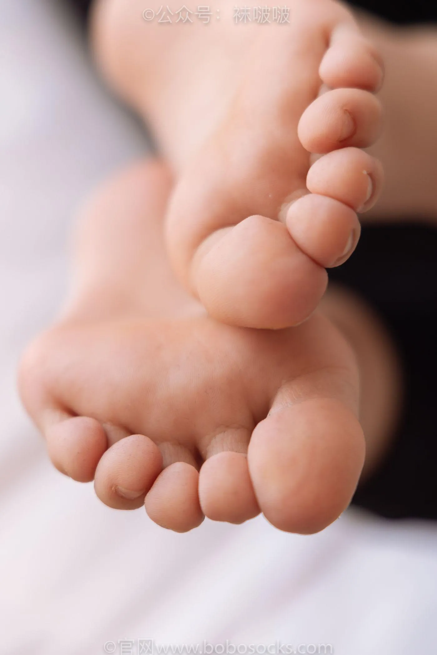 [BoBoSocks袜啵啵]NO.059 砂糖-AJ板鞋、白棉袜、裸足 [142P]插图